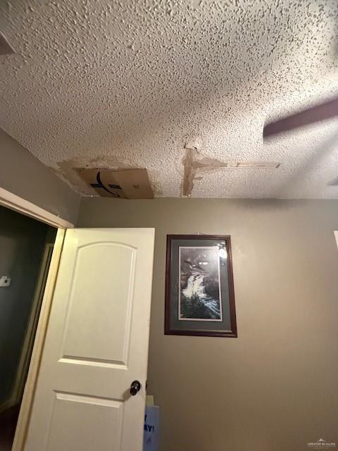 1507 Guerra Avenue Roma, TX 78584 - Photo 12 of 14