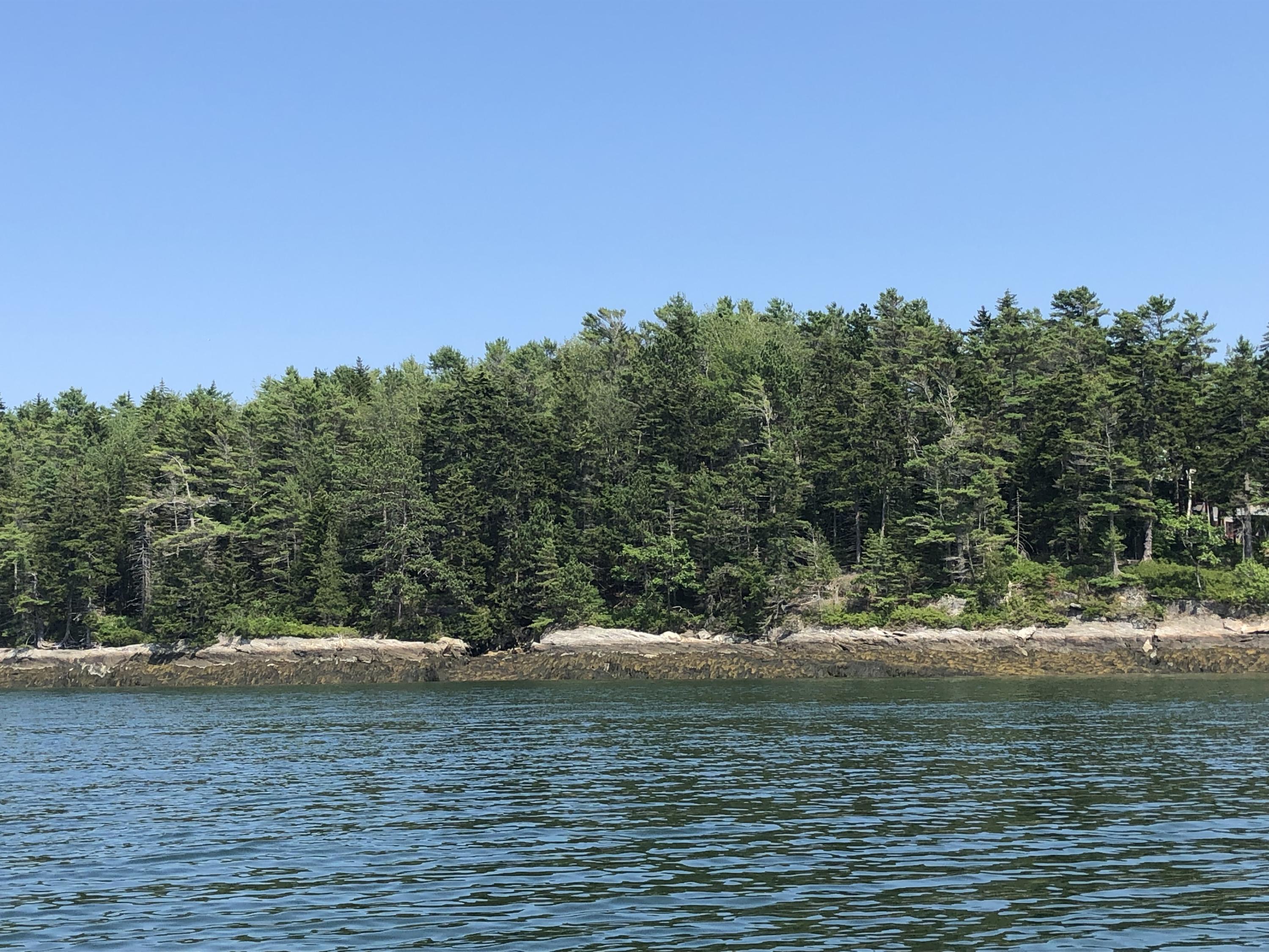Lot 6 Gun Pt/tote Road Harpswell, ME 04079 - Photo 3 of 7 IMG_3010
