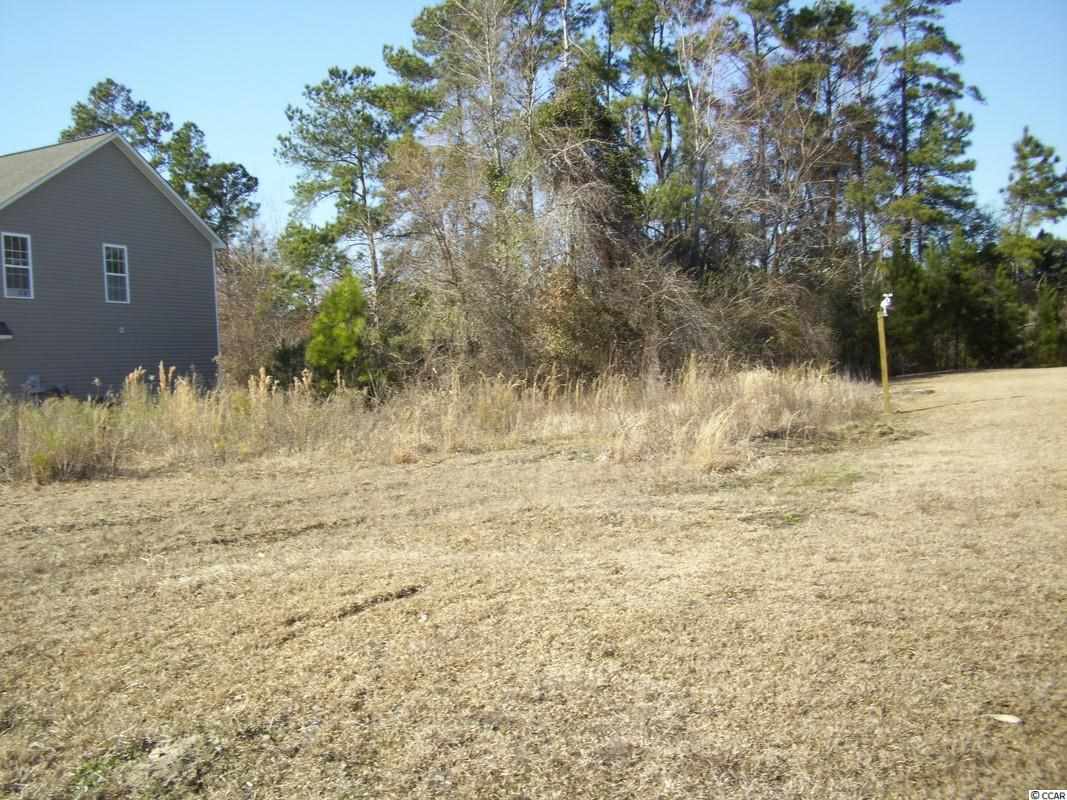 Lot 34 Sugar Mill Loop Myrtle Beach, SC 29588 - Photo 1 of 6 Gallery Image 1