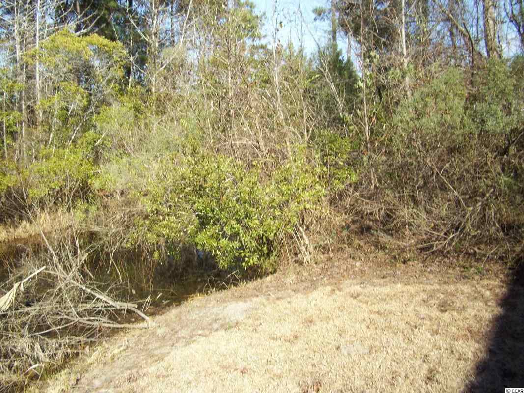 Lot 34 Sugar Mill Loop Myrtle Beach, SC 29588 - Photo 3 of 6 Gallery Image 3