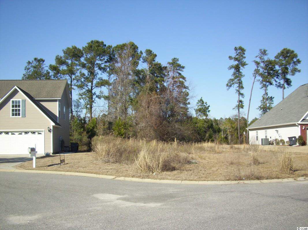 Lot 34 Sugar Mill Loop Myrtle Beach, SC 29588 - Photo 6 of 6 Gallery Image 6