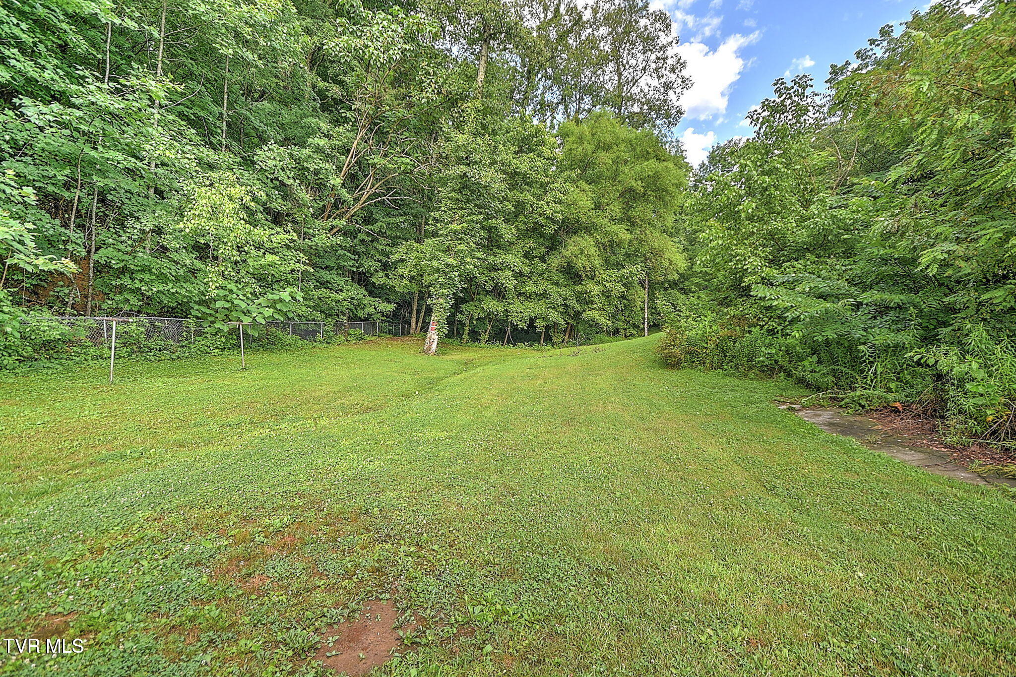 655 Wadlow Gap Road Kingsport, TN 37660 - Photo 31 of 66 27-web-or-mls-655 Wadalow Gap DP-28