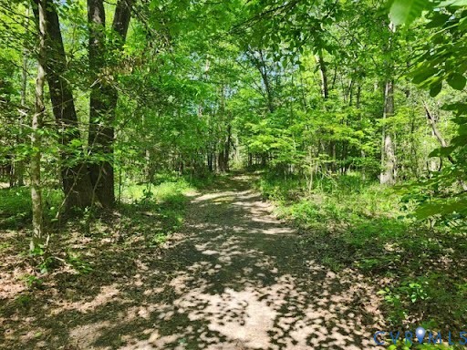 0 Chellowe Road Dillwyn, VA 23936 - Photo 7 of 9