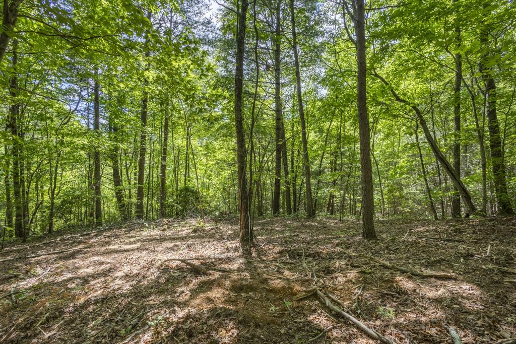 34-ac Donley Road Murphy, NC 28906 - Photo 18 of 37 Gallery Image 18