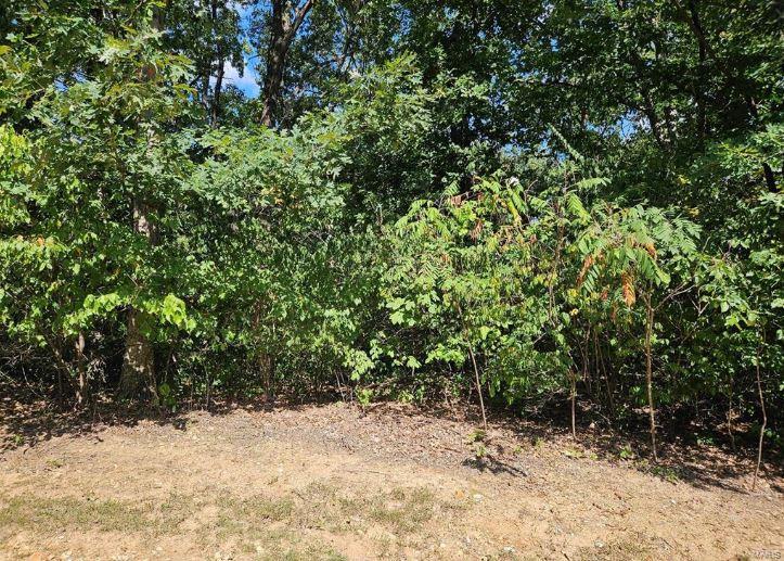 0 Lot 11 Tarrant's Estates Bowling Green, MO 63334 - Photo 1 of 2