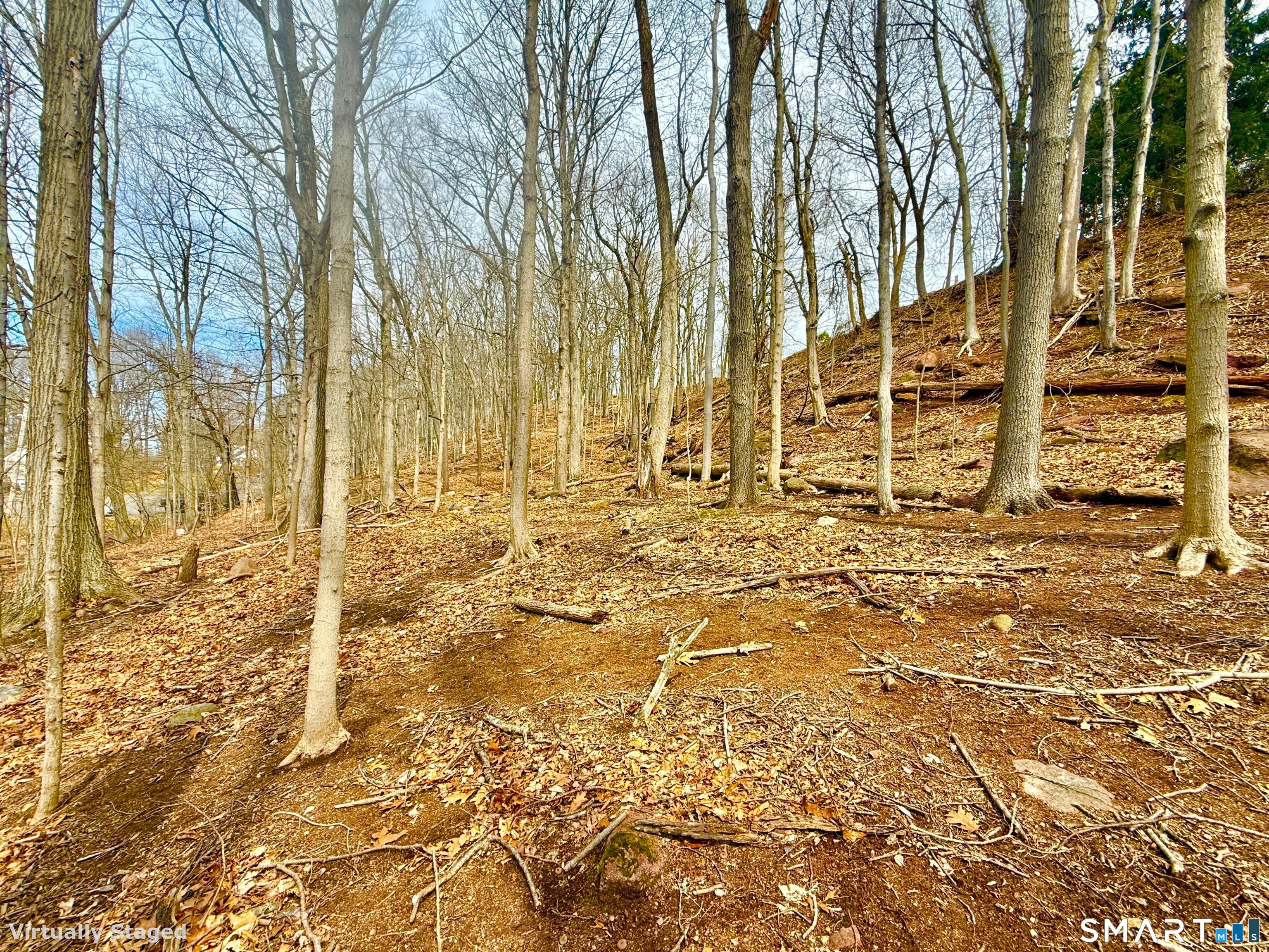 71 Dunbar Hill Road Hamden, CT 06514 - Photo 15 of 15 Gallery Image 15