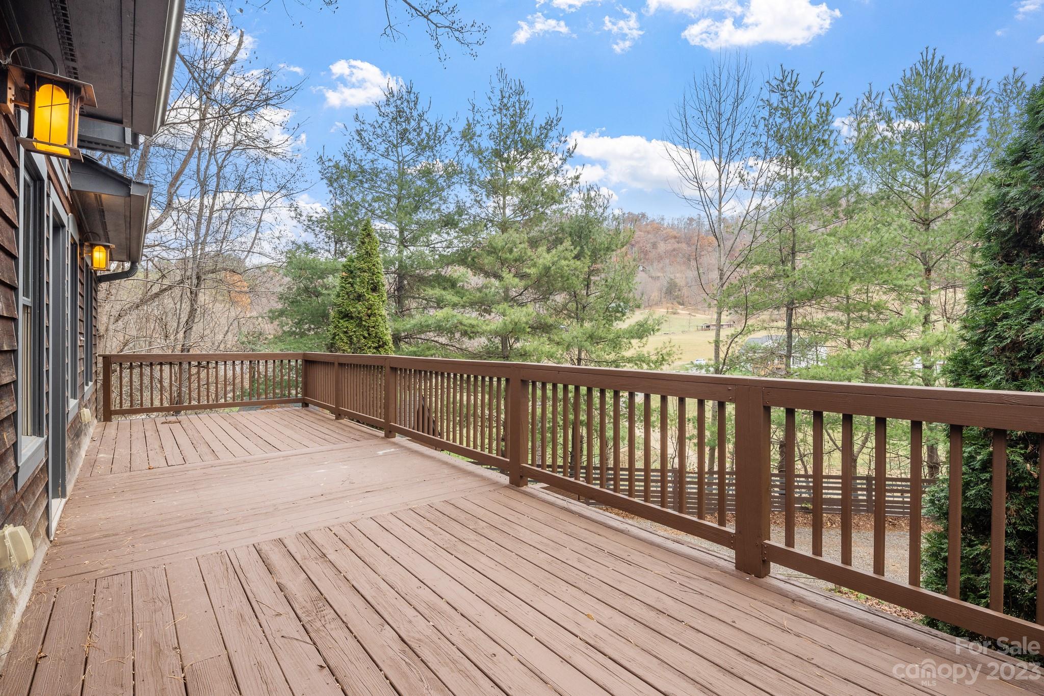 218 Potato Branch Road Leicester, NC 28748 - Photo 4 of 39 Gallery Image 4