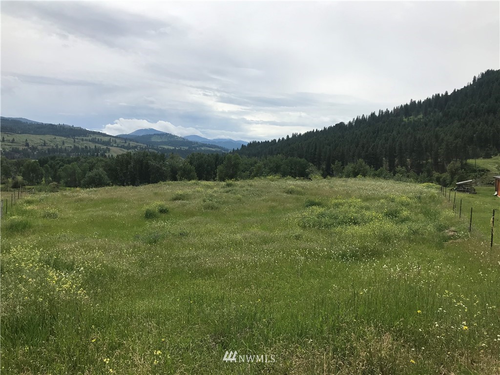 1-tbd Hummingbird Road Curlew, WA 99118 - Photo 12 of 27 Gallery Image 12