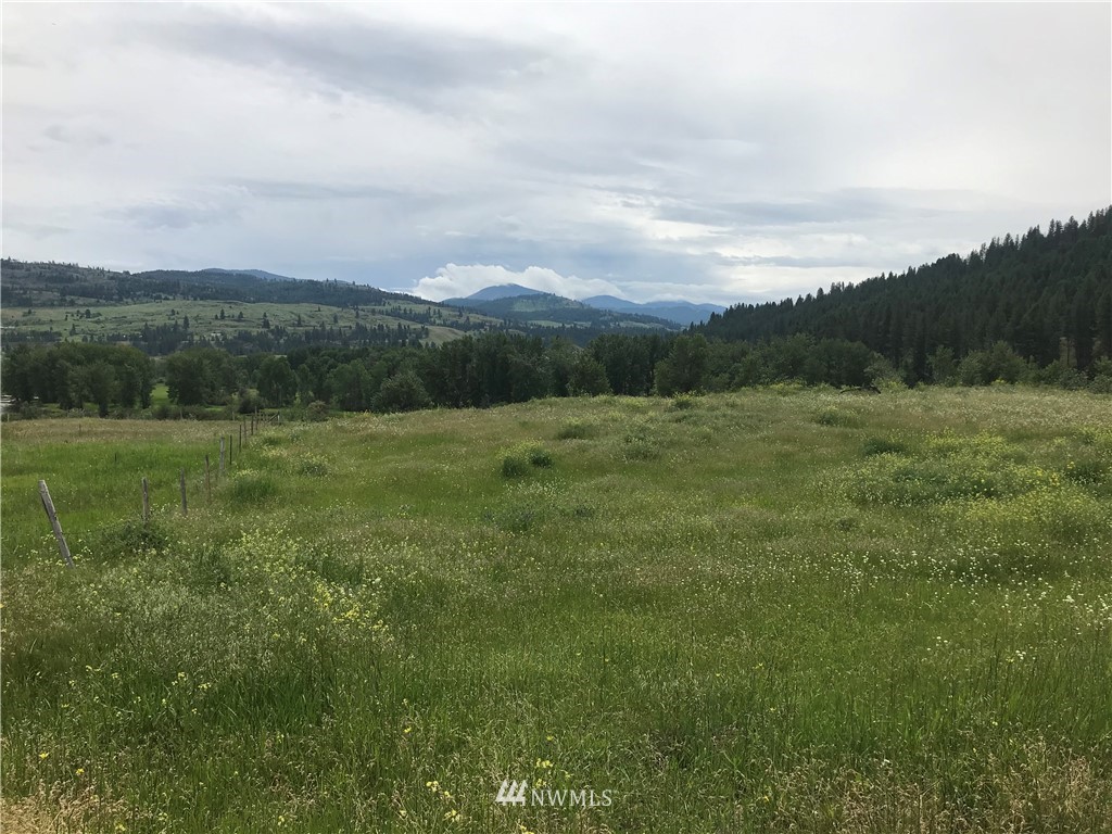 1-tbd Hummingbird Road Curlew, WA 99118 - Photo 13 of 27 Gallery Image 13