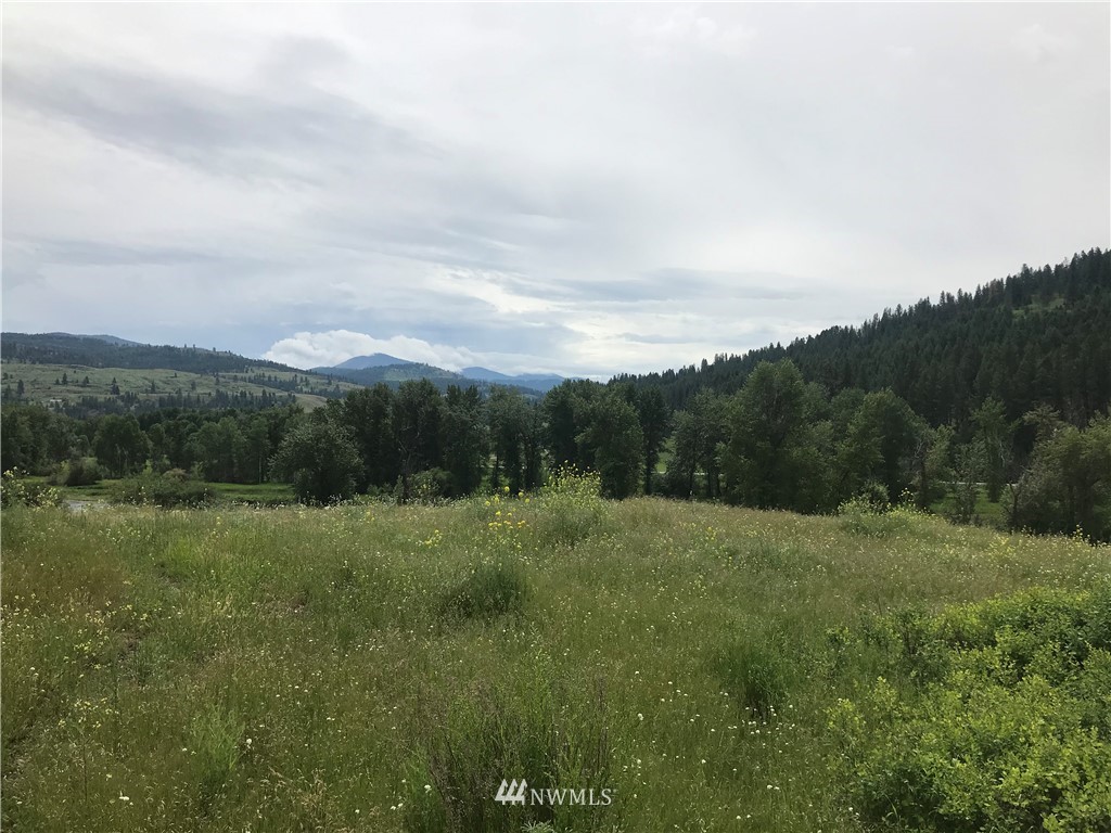 1-tbd Hummingbird Road Curlew, WA 99118 - Photo 15 of 27 Gallery Image 15