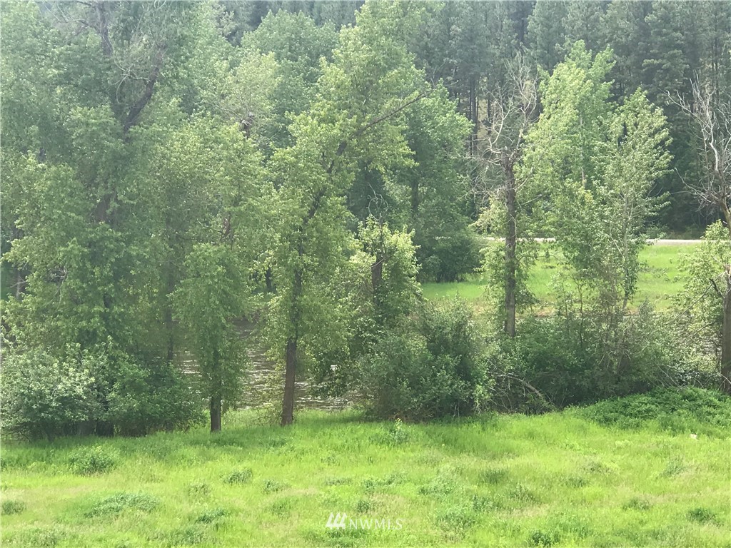 1-tbd Hummingbird Road Curlew, WA 99118 - Photo 5 of 27 Gallery Image 5