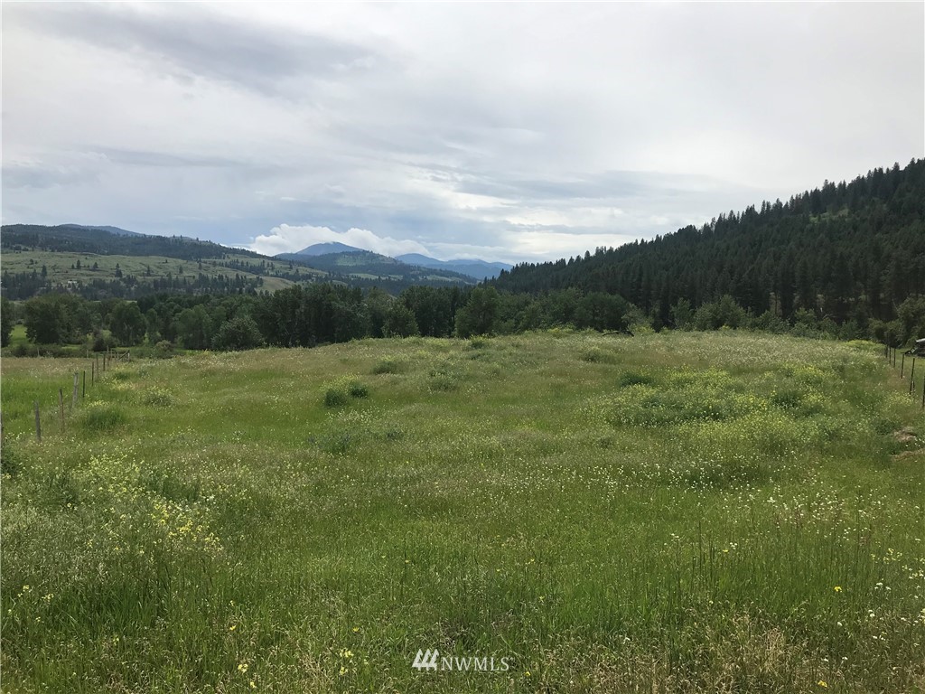 1-tbd Hummingbird Road Curlew, WA 99118 - Photo 7 of 27 Gallery Image 7