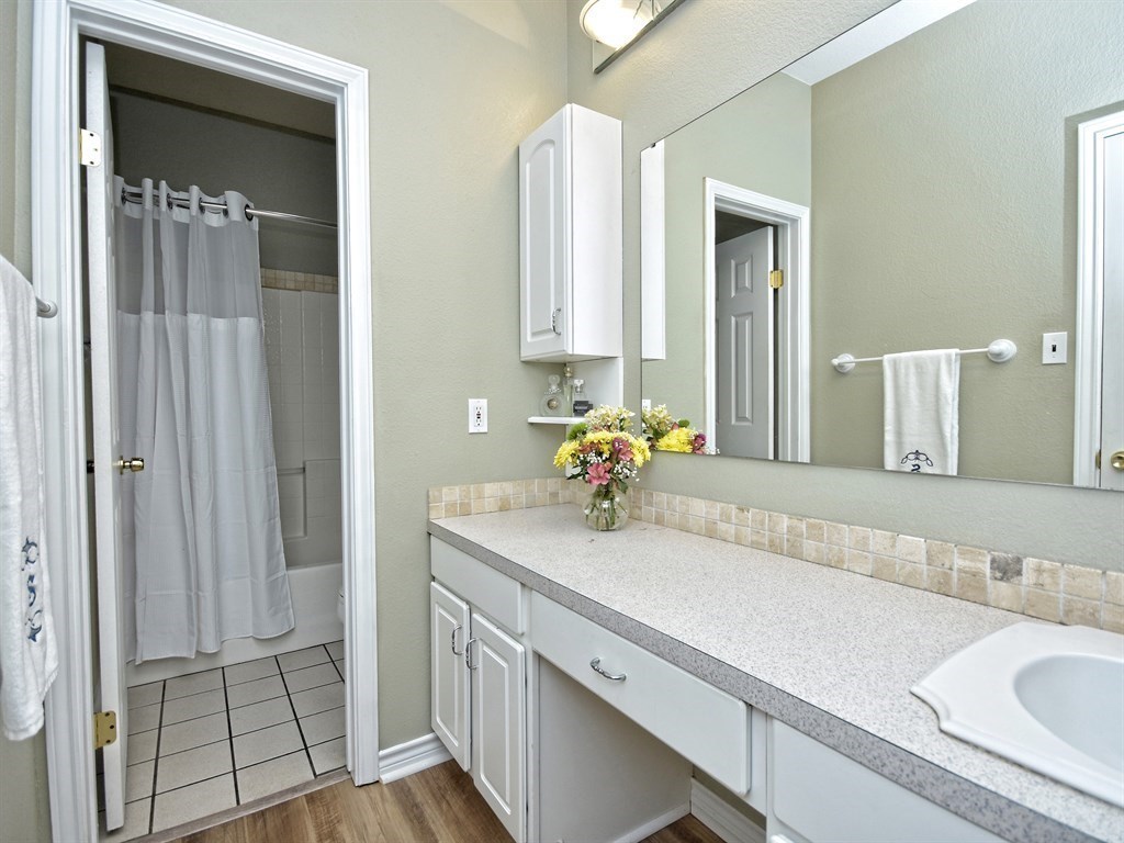 600 Grand Prairie Circle Dripping Springs, TX 78620 - Photo 12 of 25 a bathroom with a sink and a mirror