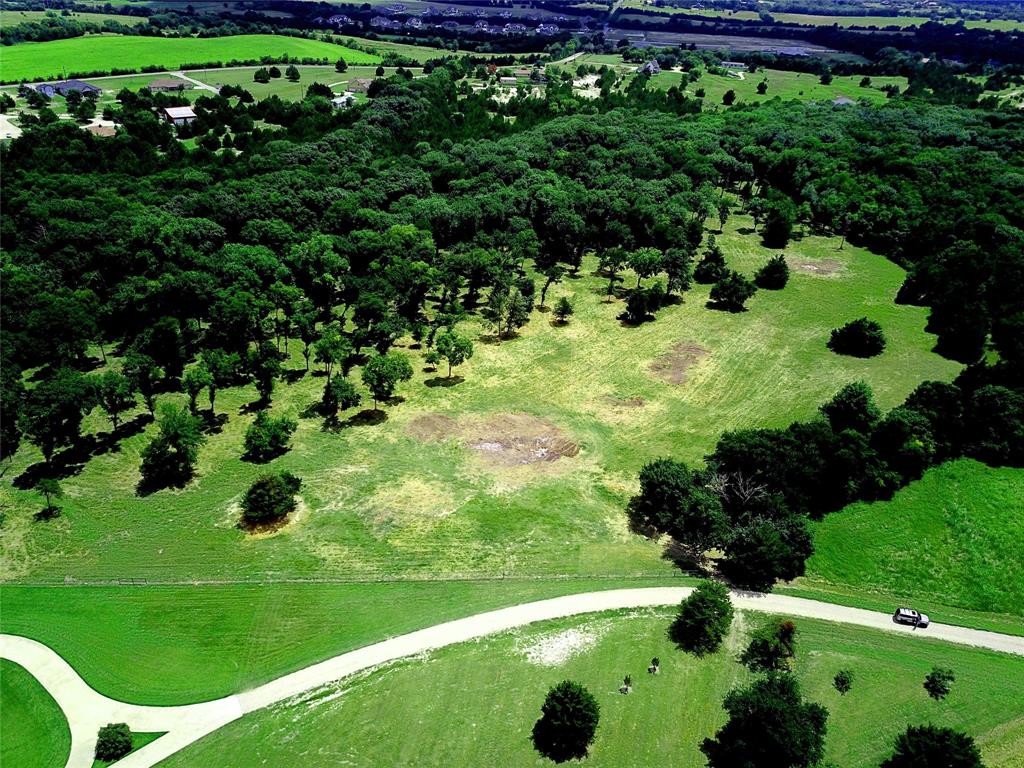 a view of a garden with a tree