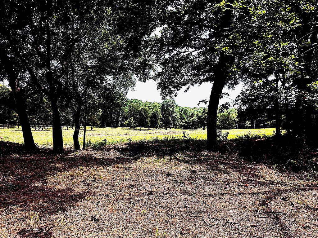 1800 North Lincoln Park Road Van Alstyne, TX 75495 - Photo 4 of 10 a view of a backyard with large trees