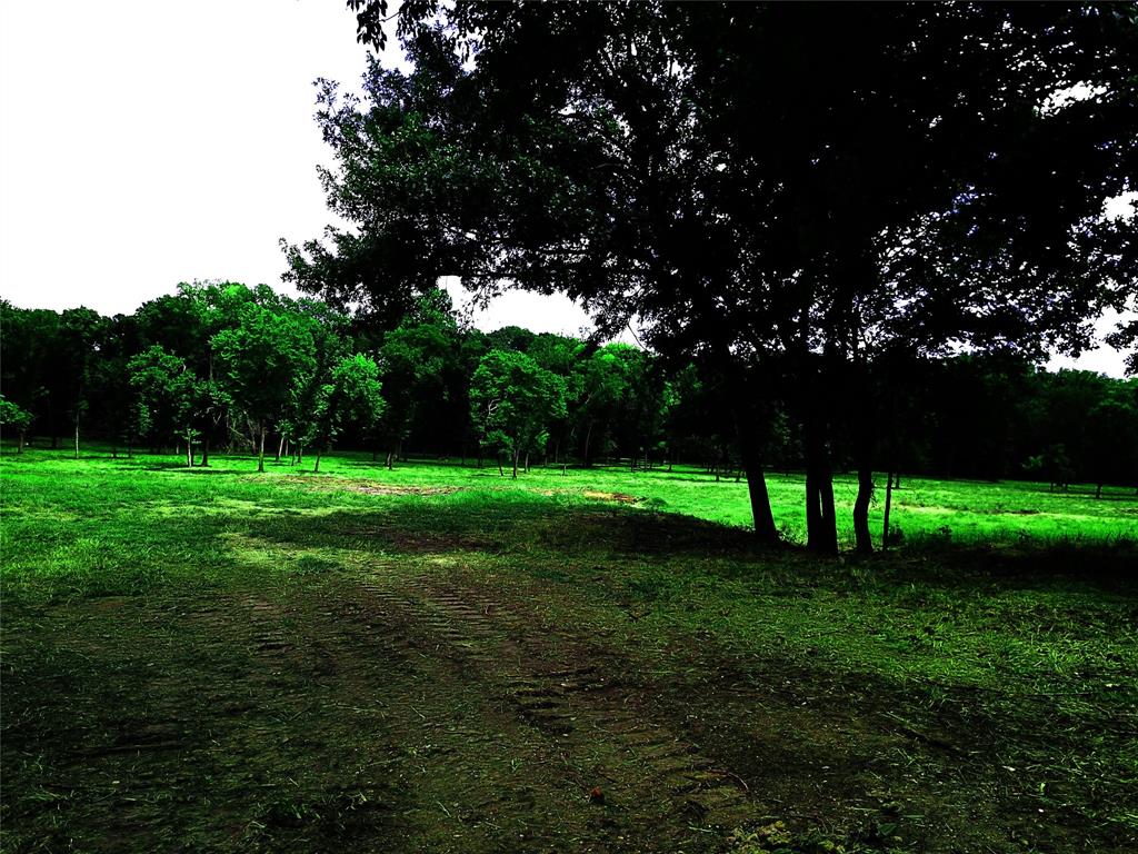 1800 North Lincoln Park Road Van Alstyne, TX 75495 - Photo 9 of 10 a view of a golf course