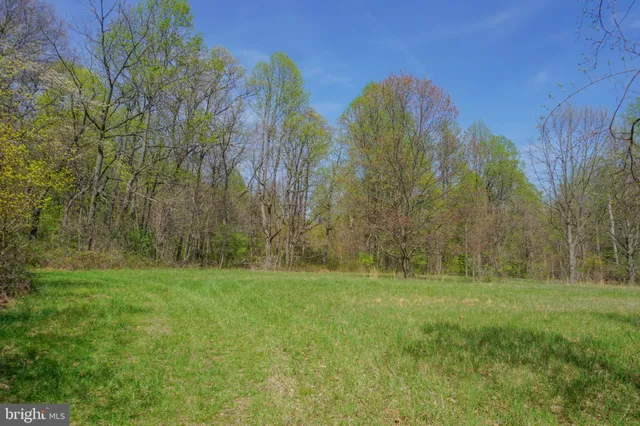 a view of a field with trees in background