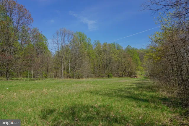 a view of outdoor space with green field and trees all around