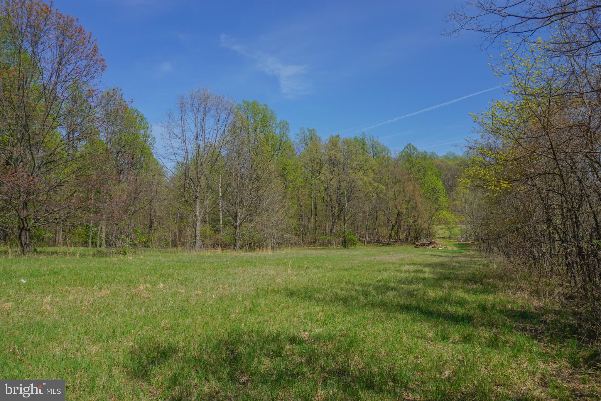 0 South Park Avenue Mertztown, PA 19539 - Photo 12 of 36 a view of outdoor space with green field and trees all around