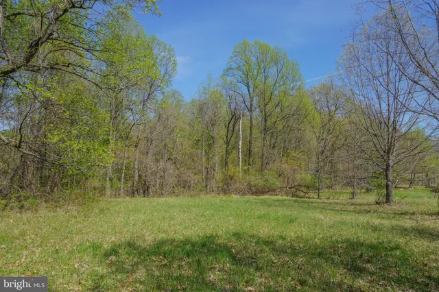 a view of outdoor space with a garden