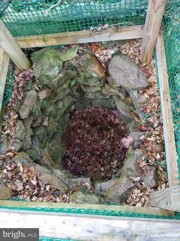 a view of a garden with a plants