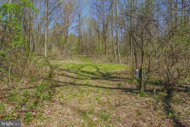 a big yard with lots of green space and bushes