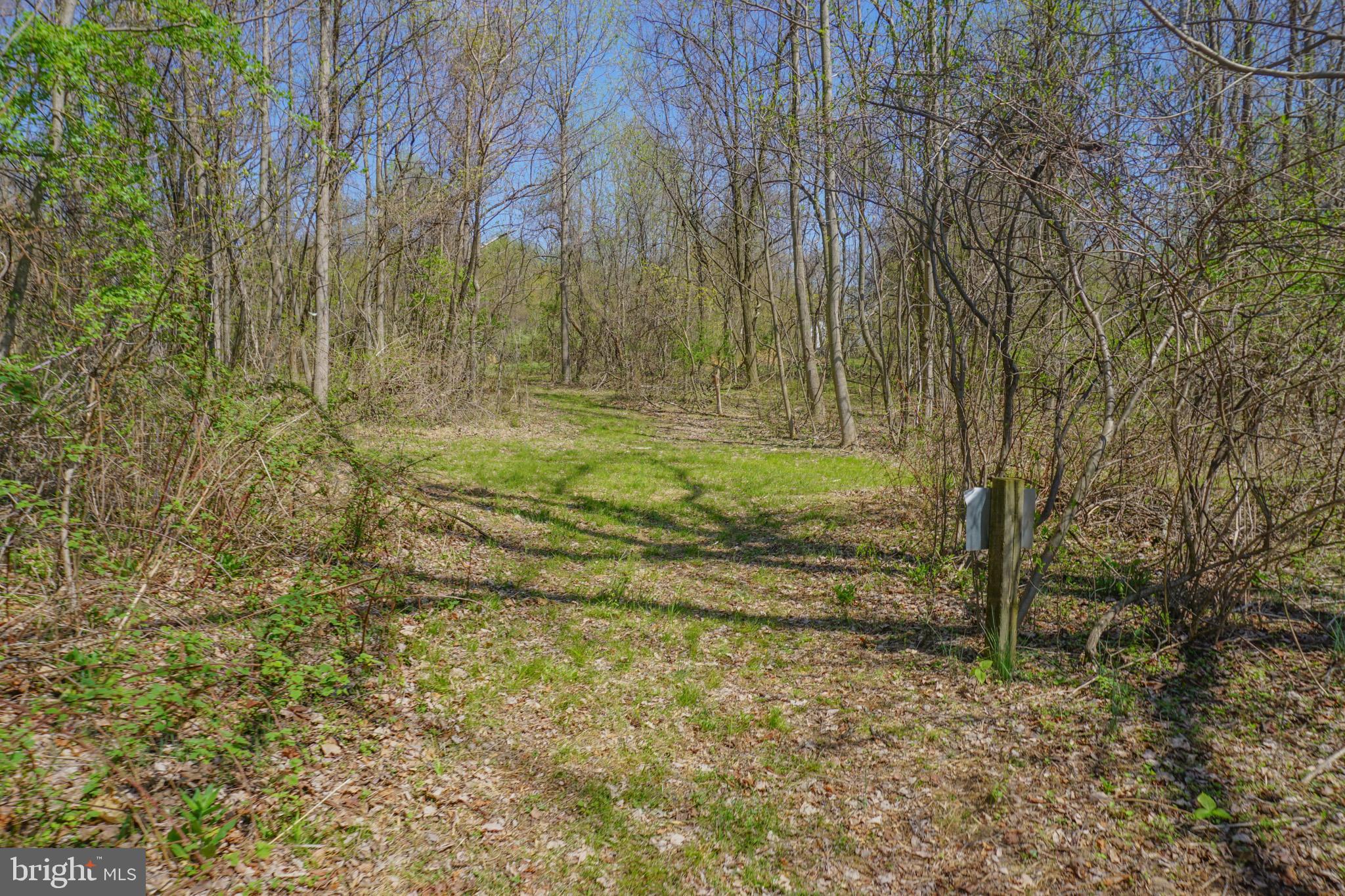 0 South Park Avenue Mertztown, PA 19539 - Photo 18 of 36 a view of a yard with large trees