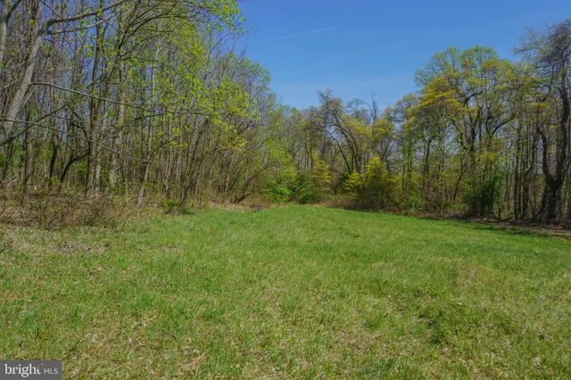 a view of backyard with green space