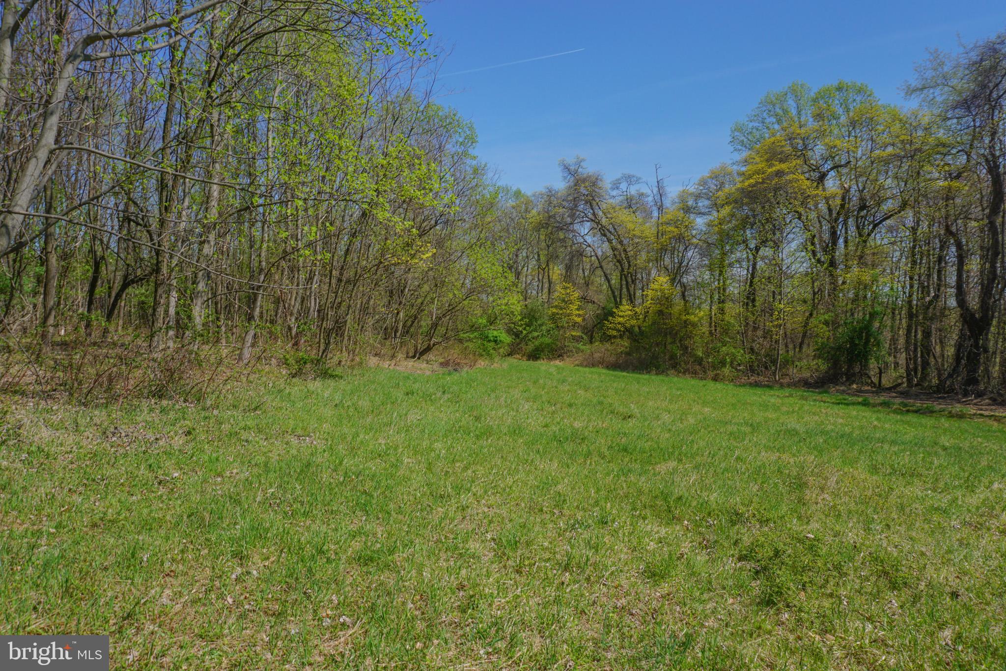 0 South Park Avenue Mertztown, PA 19539 - Photo 20 of 36 a view of a yard with a tree