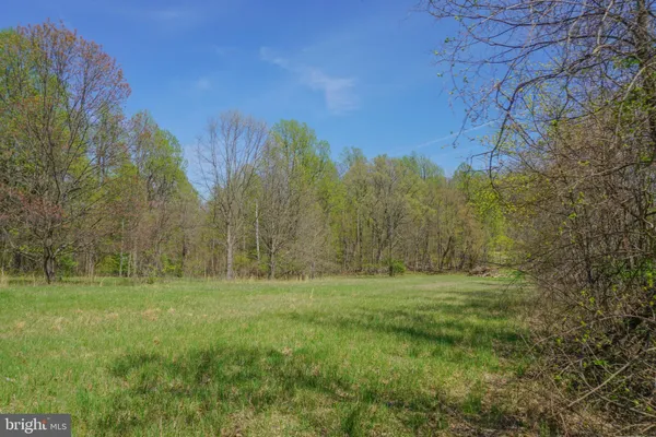 a view of outdoor space with green field and trees all around