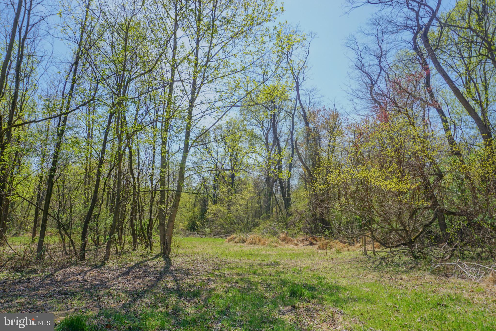 0 South Park Avenue Mertztown, PA 19539 - Photo 21 of 36 a view of backyard with green space