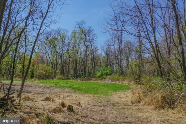 a view of backyard with green space