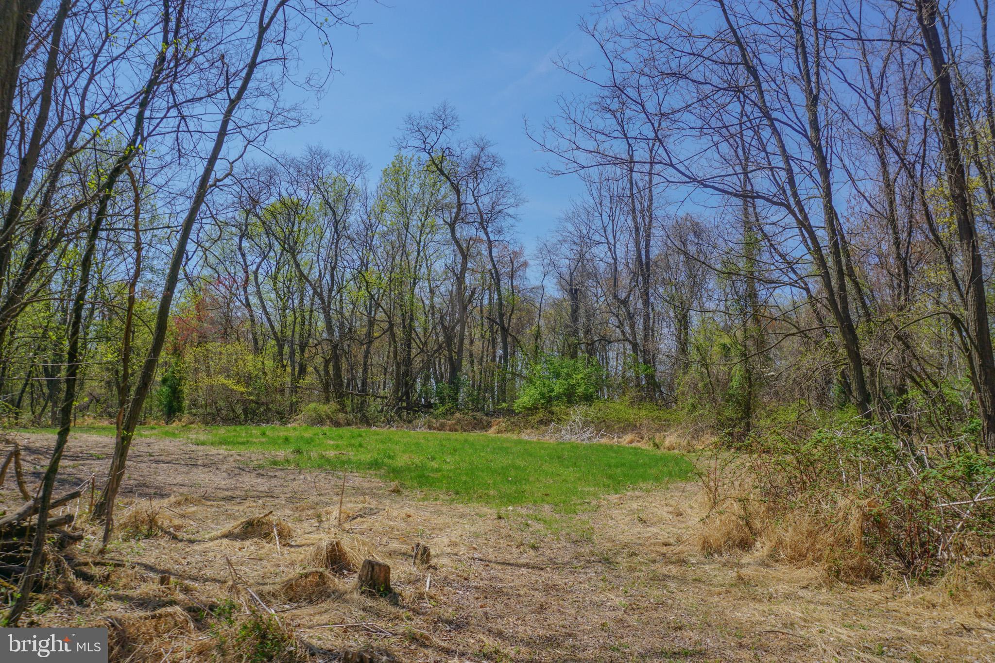 0 South Park Avenue Mertztown, PA 19539 - Photo 22 of 36 a backyard of a house with lots of green space