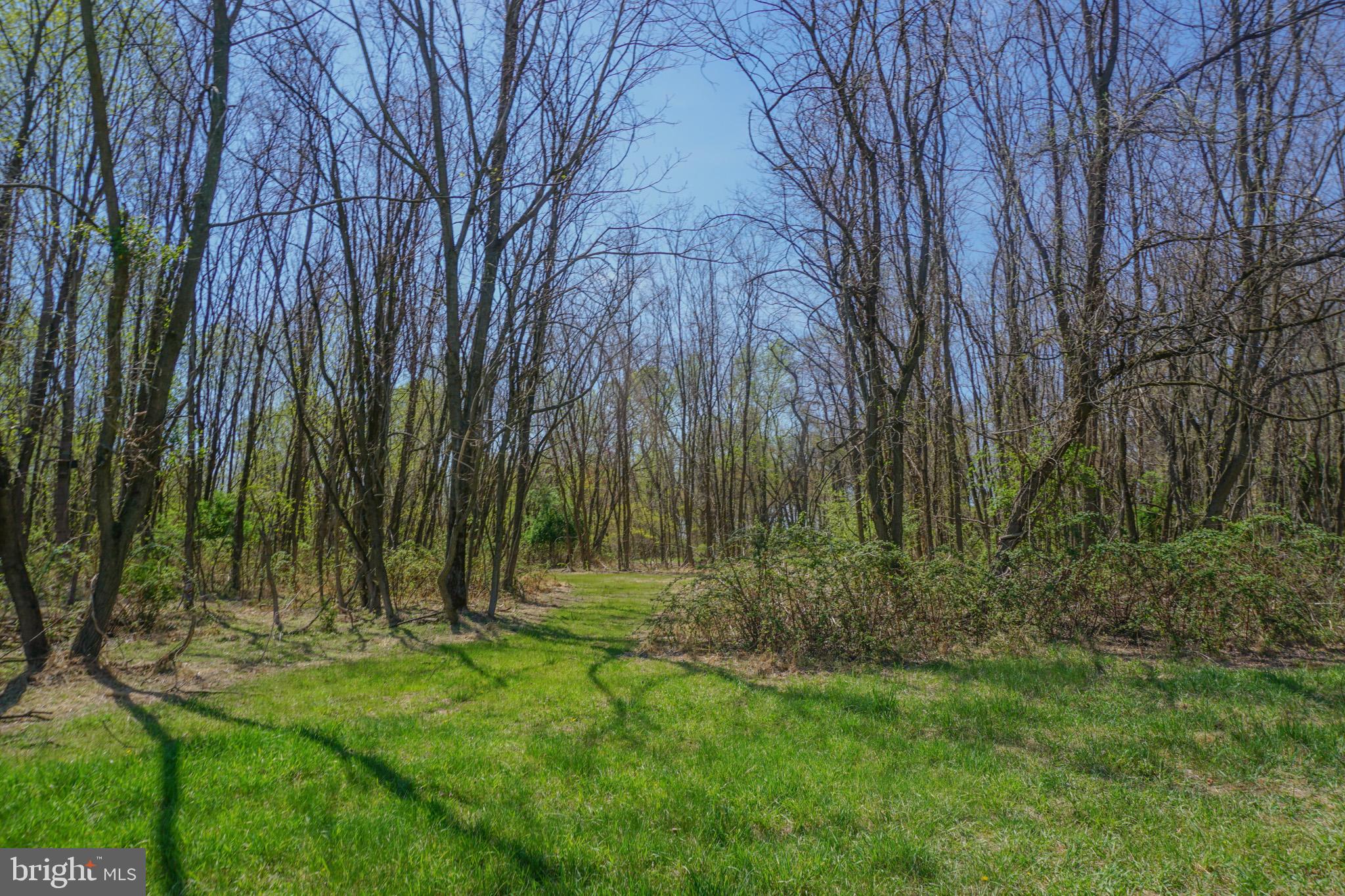 0 South Park Avenue Mertztown, PA 19539 - Photo 23 of 36 a view of backyard with green space