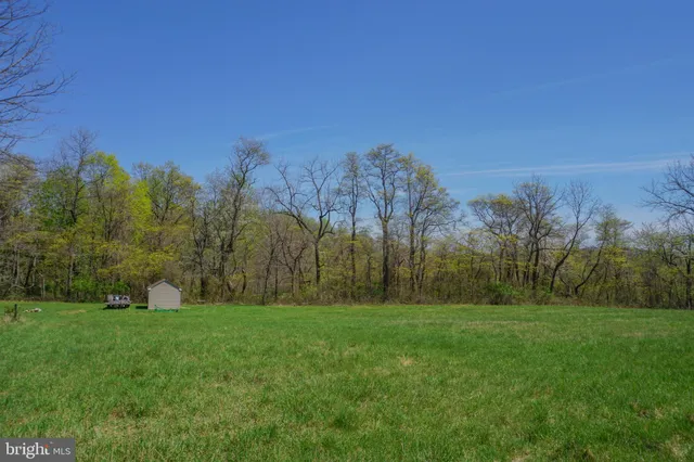 a view of a grassy field