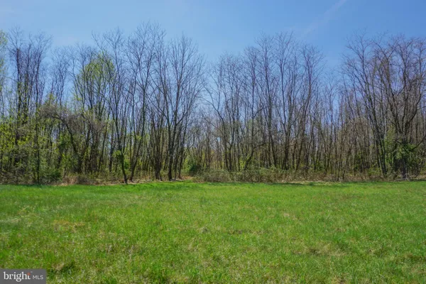 a view of green field with trees in the background