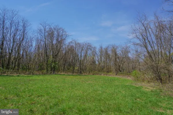 a view of a park