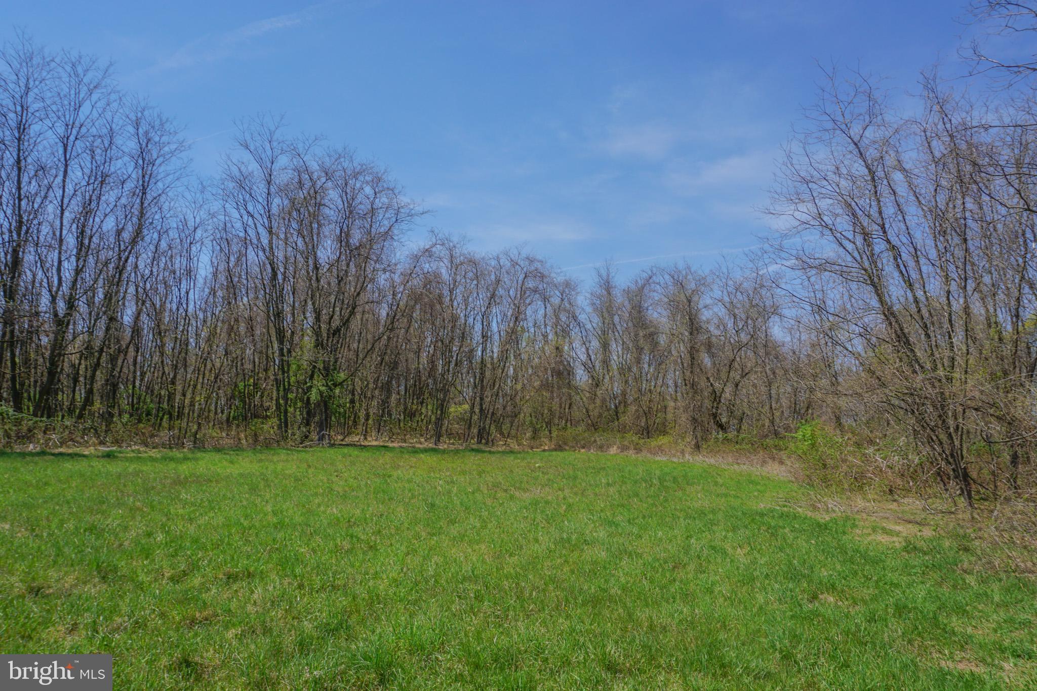 0 South Park Avenue Mertztown, PA 19539 - Photo 26 of 36 a view of green field with trees in the background