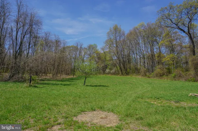 a view of a house with a big yard