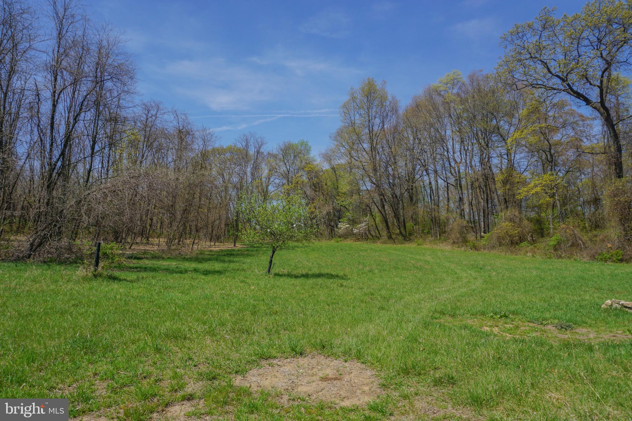 0 South Park Avenue Mertztown, PA 19539 - Photo 28 of 36 a view of a park