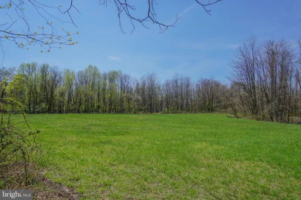 a view of a field of grass and trees