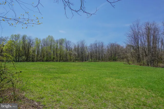 a view of a field of grass and trees