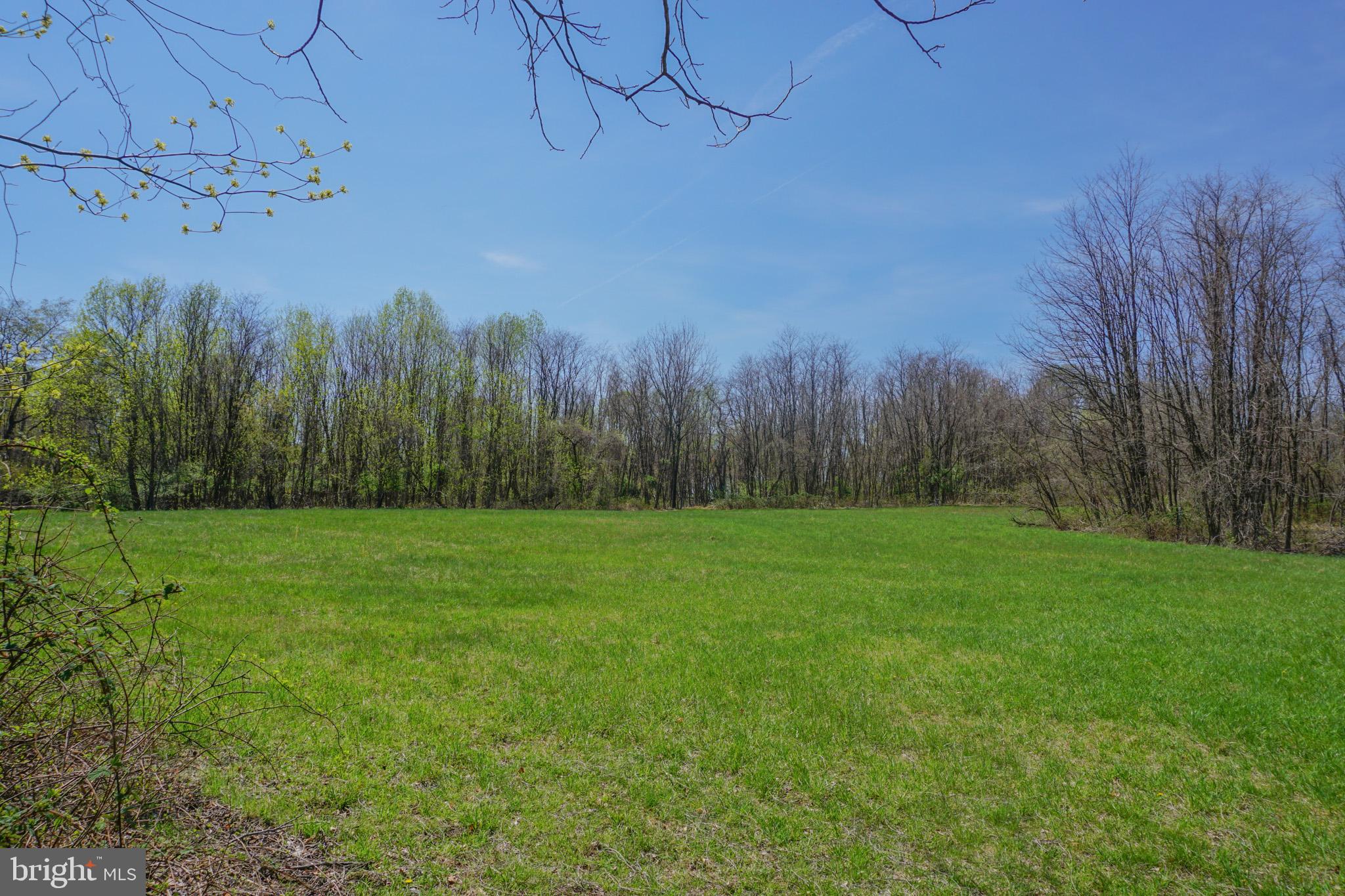 0 South Park Avenue Mertztown, PA 19539 - Photo 30 of 36 a view of a yard with a tree
