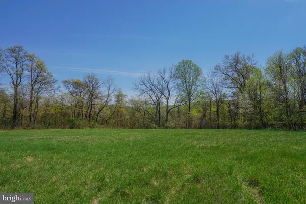 a view of a grassy field with trees in the background