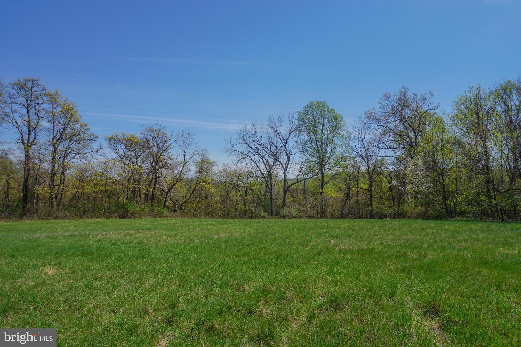 0 South Park Avenue Mertztown, PA 19539 - Photo 3 of 36 a view of a grassy field with trees in the background