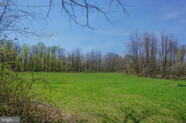 a view of a grassy field with trees in the background