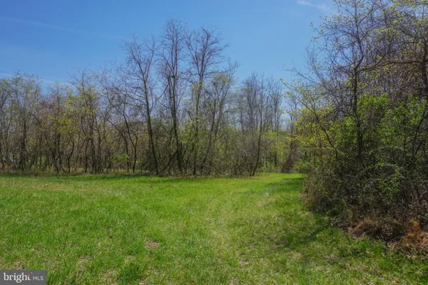 a view of a grassy field with trees in the background