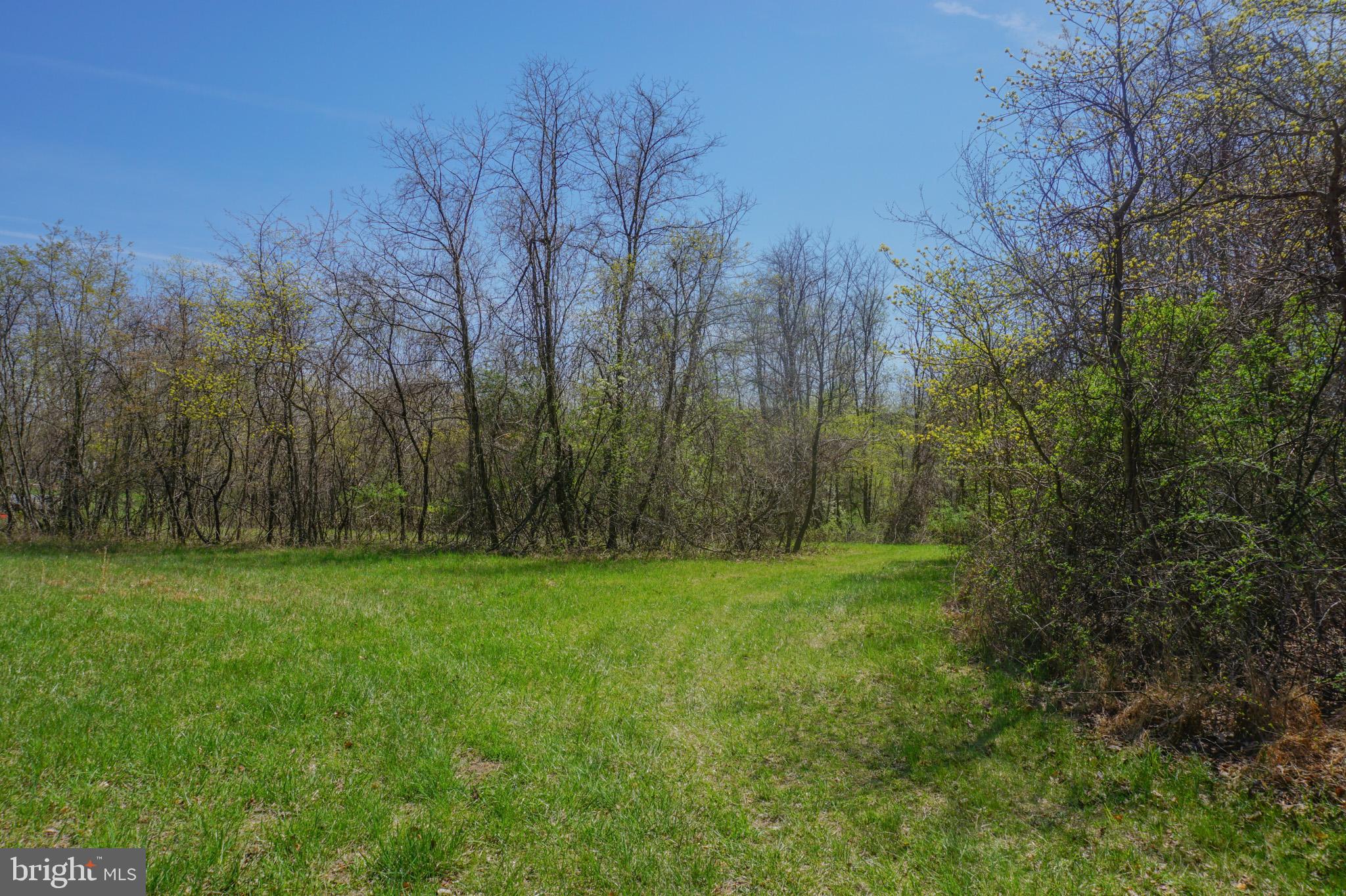 0 South Park Avenue Mertztown, PA 19539 - Photo 32 of 36 a view of a grassy field with trees in the background
