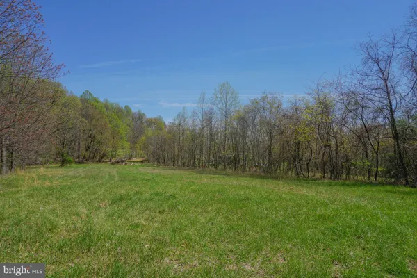 a view of grassy field with trees in the background