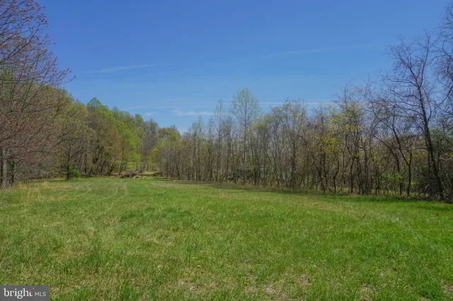 a view of grassy field with trees in the background